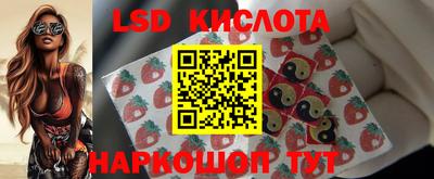индика Можга