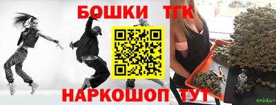 индика Можга