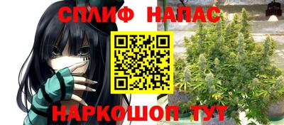 индика Можга