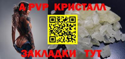 индика Можга
