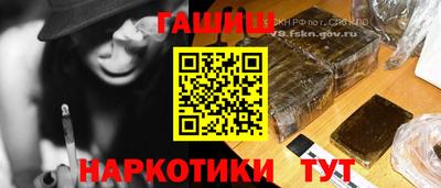 индика Можга
