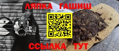 индика Можга