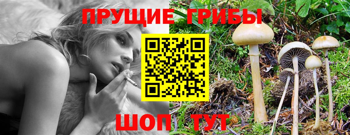Галлюциногенные грибы GOLDEN TEACHER Уссурийск